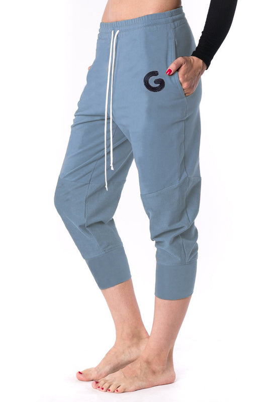The Woman Paneled Jogger 17 // blue
