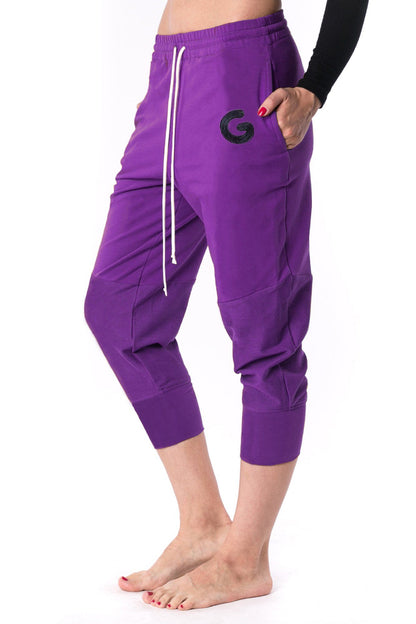 The Woman Panelled Jogger 17 // violet